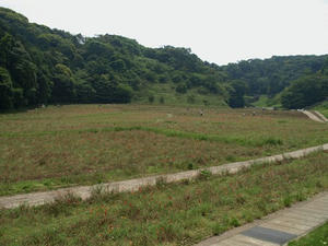 P6103820shuusei.JPG