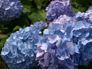 P6103825shuusei.JPG