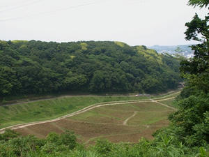 P6103838shuusei.JPG