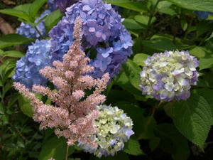 P6103851shuusei.JPG