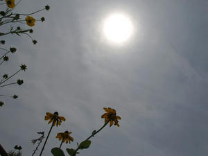 P6103856shuusei.JPG