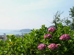 P6103910shuusei.JPG