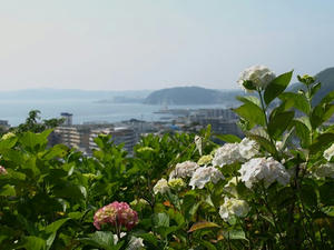 P6103909shuusei.JPG