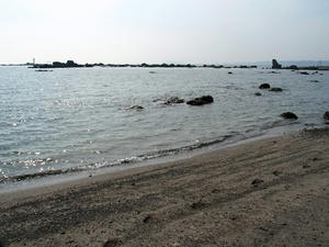 P6103941shuusei.JPG