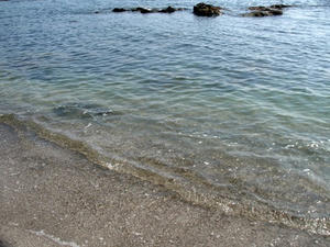 P6103947shuusei.JPG