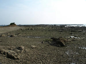 P6103988shuusei.JPG