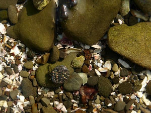 P6103992shuusei.JPG