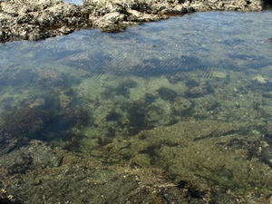 P6104002shuusei.JPG