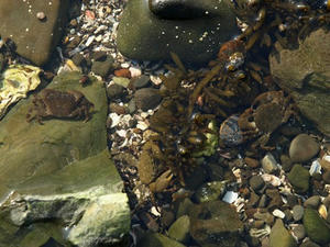 P6103998shuusei.JPG