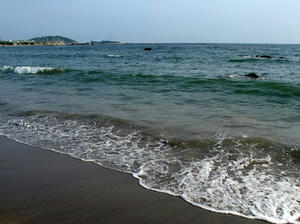 P6104071shuusei.JPG