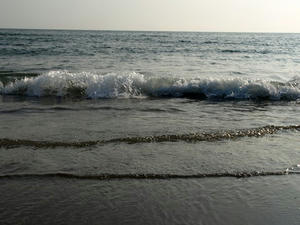 P6104078shuusei.JPG