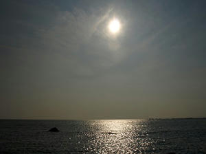 P6104081shuusei.JPG