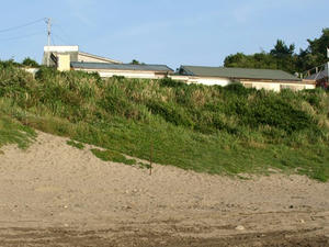 P6104110shuusei.JPG