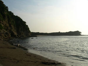 P6104112shuusei.JPG