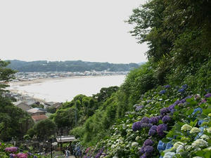 P6154174shuusei.JPG