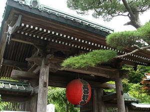 P6154442shuusei.JPG