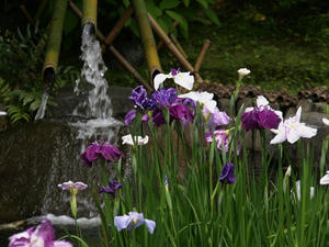 P6154422shuusei.JPG