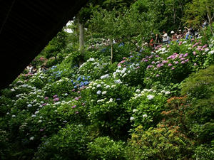 P6154400shuusei.JPG
