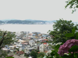 P6154323shuusei.JPG