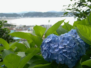 P6154353shuusei.JPG