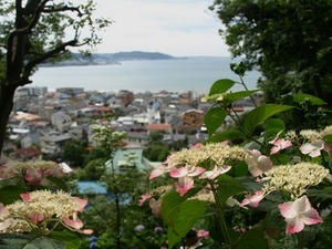 P6154316shuusei.JPG