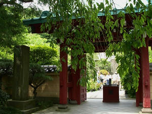 P6154445shuusei.JPG