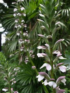 P6154533shuusei.JPG