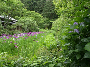 P6154560shuusei.JPG