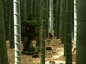 P6154599shuusei.JPG