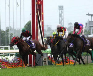 20080629-00000031-spnavi-horse-view-000.jpg