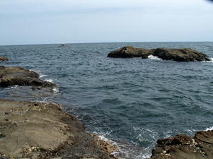 P6154680shuusei.JPG