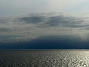 P6154710shuusei.JPG
