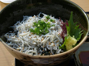 P6154709shuusei.JPG