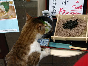 P6154721shuusei.JPG