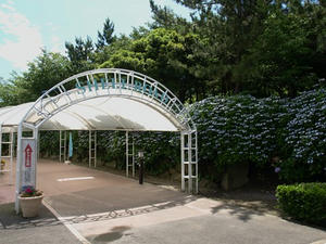 P6244732shuusei.JPG