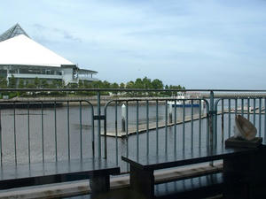P6245491shuusei.JPG