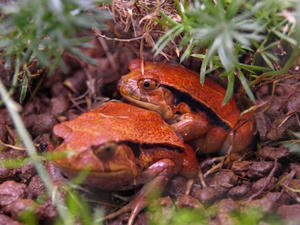 P6245708shuusei.JPG