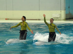 P6245361shuusei.JPG