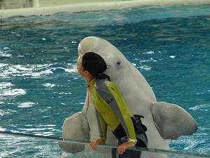 P6245365shuusei.JPG
