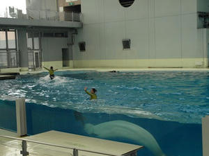 P6245371shuusei.JPG