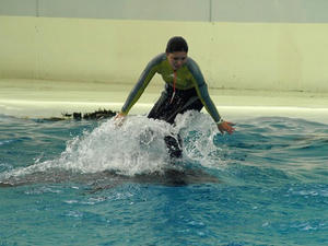 P6245378shuusei.JPG
