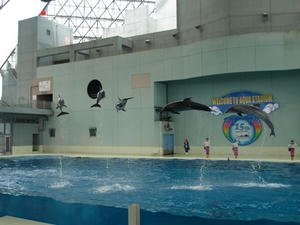 P6245039shuusei.JPG