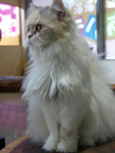 P6245985shuusei.JPG