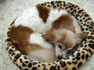 P6245950shuusei.JPG