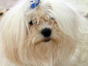 P6245949shuusei.JPG