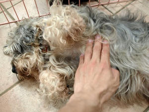 P6245953shuusei.JPG