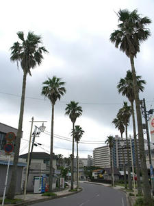 P7016069shuusei.JPG