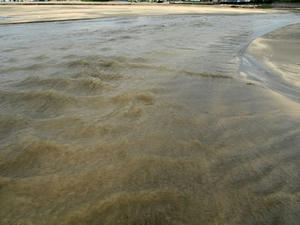 P7016135shuusei.JPG