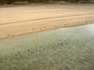 P7016140shuusei.JPG