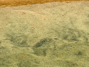 P7016142shuusei.JPG